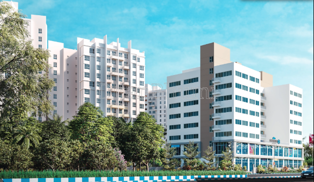 Merlin Elita Chambers